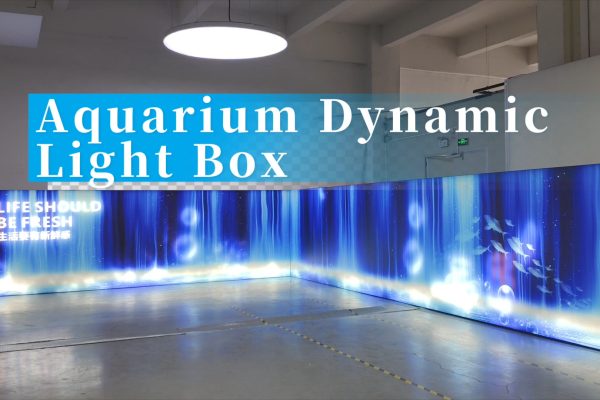 AQUARIUM DYNAMIC LIGHT BOX